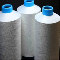 DYED NYLON YARN - Our Products - Nylon yarn(polyamide yarn) manufacturer, nylon dope dyed yarn,nylon 6 dty,nylon 66 dty,nylon poy,nylon twisted.